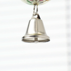 Игрушка для птиц "Шарик на цепочке с колокольчиком", d шара 4.4 см, микс цветов - Фото 5