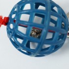 Игрушка для птиц "Шарик с бубенчиком", d 4.5 см, микс цветов - Фото 4