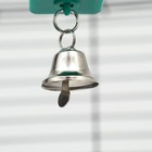Игрушка для птиц "Зеркальце четырехстороннее" , 3.5 х 3 х 14 см, зеленая - Фото 5