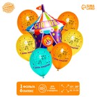 Букет из воздушных шаров «С днём рождения», зверята, латекс, фольга, набор 7 шт. - фото 319314449