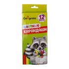 УЦЕНКА Карандаши Calligrata, цветные, 12 цветов 9543285