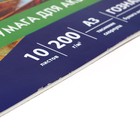 УЦЕНКА Папка для акварели А3, 297 х 420 мм, 10 листов, блок бумага ГОЗНАК "Скорлупа", 200 г/м2 - Фото 6