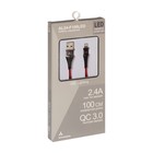 Кабель Accesstyle AL24-F100LED, Lightning - USB, 2.4А, LED, быстрая зарядка,1м,черно-красный - фото 51474451 Кабель Accesstyle AL24-F100LED, Lightning - USB, 2.4А, LED, быстрая зарядка,1м,черно-красный - фото 51474451