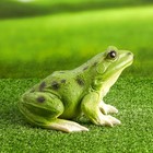 Садовая фигура "Лягушка" малая, 14х20х18см - фото 24629021