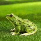 Садовая фигура "Лягушка" малая, 14х20х18см - фото 24629023