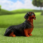 Садовая фигура из полистоуна «Собака такса», 20×20×12 см - Фото 7