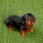 Садовая фигура из полистоуна «Собака такса», 20×20×12 см - Фото 10