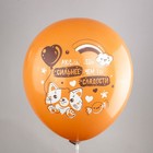 Шар латексный 12" шёлк, «Шоколадный микс!», 1 ст., 2 цв., 5 дизайнов, 25 шт. МИКС 9507022 - фото 319875143