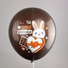 Шар латексный 12" шёлк, «Шоколадный микс!», 1 ст., 2 цв., 5 дизайнов, 25 шт. МИКС 9507022 - фото 319875146