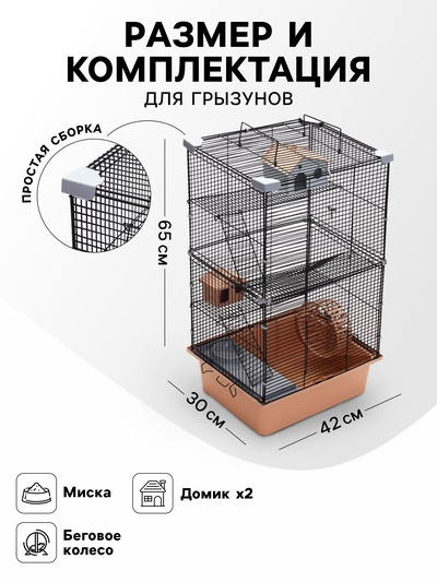 Клетка для грызунов «Пижон», 42×30×65 см, 4 этажа, 2 домика, колесо, миска, бежевая