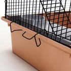 Клетка для грызунов «Пижон», 42×30×65 см, 4 этажа, 2 домика, колесо, миска, бежевая - Фото 13