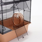 Клетка для грызунов «Пижон», 42×30×65 см, 4 этажа, 2 домика, колесо, миска, бежевая - Фото 17