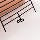 Клетка для грызунов «Пижон», 42×30×65 см, 4 этажа, 2 домика, колесо, миска, бежевая - Фото 18