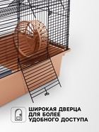 Клетка для грызунов «Пижон», 42×30×65 см, 4 этажа, 2 домика, колесо, миска, бежевая - Фото 4
