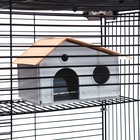 Клетка для грызунов «Пижон», 42×30×65 см, 4 этажа, 2 домика, колесо, миска, бежевая - Фото 21