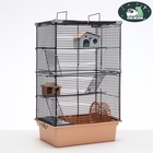 Клетка для грызунов «Пижон», 42×30×65 см, 4 этажа, 2 домика, колесо, миска, бежевая - Фото 5