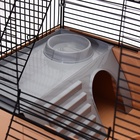 Клетка для грызунов «Пижон», 42×30×65 см, 4 этажа, 2 домика, колесо, миска, бежевая - Фото 6