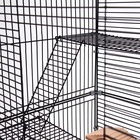 Клетка для грызунов «Пижон», 42×30×65 см, 4 этажа, 2 домика, колесо, миска, бежевая - Фото 10