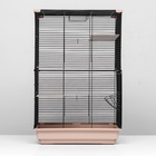 Клетка для шиншиллы «Пижон» №10, разборная, 58×40×88, бежевая - Фото 6