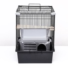 Клетка для шиншиллы «Пижон» №19, разборная, 58×40×49, серая - Фото 2