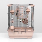 Клетка для птиц «Пижон» №100, разборная, 42×30×37 см, укомплектованная, бежевая - Фото 14