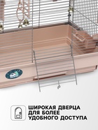 Клетка для птиц «Пижон» №100, разборная, 42×30×37 см, укомплектованная, бежевая - Фото 3