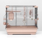 Клетка для птиц «Пижон» №100, разборная, 42×30×37 см, укомплектованная, бежевая - Фото 7