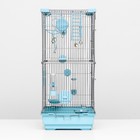 Клетка для птиц "Пижон" №101-Б, разборная, 42 х 30 х 65см (укомплект.) бирюзовая - Фото 3