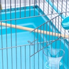 Клетка для птиц «Пижон» №104, разборная, 58×40×48 см, 1 секция, бирюзовая - Фото 19