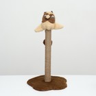 Когтеточка-столбик "Пижон" с совой, 35 х 35 х 59 см, джут, микс цветов - Фото 2