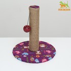 Когтеточка-столбик "Пижон" с шариком, 29 х 29 х 32 см, джут, ткань ПВХ, фиолетовая - фото 10317715