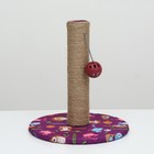 Когтеточка-столбик "Пижон" с шариком, 29 х 29 х 32 см, джут, ткань ПВХ, фиолетовая - фото 9307625