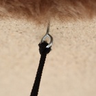 Комплекс для кошек с когтеточкой, разборный, с гамаком, 33×76×105 см, бежевый - Фото 6