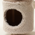 Комплекс для кошек с когтеточкой, 63 х 41 х 76 см, пушистый мех, джут, коричневый - Фото 6