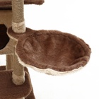 Комплекс для кошек, 77×90×163 см, разборный, с когтеточкой, 8 уровней, бежевый - Фото 12