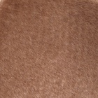 Комплекс для кошек, 77×90×163 см, разборный, с когтеточкой, 8 уровней, бежевый - Фото 3