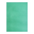 Картон цветной А3, немелованный, 190 г/м2, зелёный, цена за 1 лист - фото 109280620