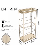 Витрина «П1фн», 900×400×2120 мм, ЛДСП, стекло, цвет дуб сонома - Фото 2