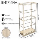 Витрина П1н 900×400×2000, ЛДСП, стекло, цвет дуб сонома 9516975