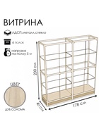 Витрина П2н 1780×400×2000, ЛДСП, стекло, цвет дуб сонома 9516983