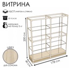 Витрина П2н 1780×400×2000, ЛДСП, стекло, цвет дуб сонома 9516983