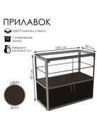 Прилавок прямоугольный с дверцами «ПП ДВ», 100×50×90 см, ЛДСП, стекло, цвет венге 9529256