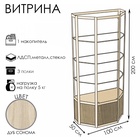 Витрина «ТР1п», 1000×500×2000 мм, ЛДСП, стекло, цвет дуб сонома 9529279