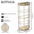 Витрина ТР1фн, 1000×500×2120, ЛДСП, стекло, цвет дуб сонома - Фото 2