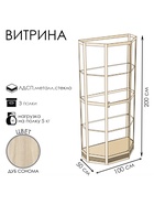 Витрина ТР1н, 1000×500×2000, ЛДСП, стекло, цвет дуб сонома 9529287