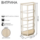 Витрина ТР1н, 1000×500×2000, ЛДСП, стекло, цвет дуб сонома 9529287