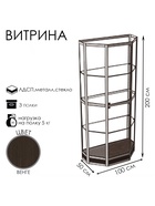 Витрина ТР1н, 1000×500×2000, ЛДСП, стекло, цвет венге  (артикул 9529288)  большой выбор товаров оптом и в розницу по низким ценам с доставкой