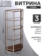 Витрина ТР1н, 1000×500×2000, ЛДСП, стекло, цвет венге  (артикул 9529288)  большой выбор товаров оптом и в розницу по низким ценам с доставкой