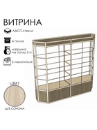 Витрина ТР3фп, 2000×500×2120, ЛДСП, стекло, цвет дуб сонома - Фото 3