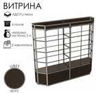 Витрина ТР3фп, 2000×500×2120, ЛДСП, стекло, цвет венге - Фото 3